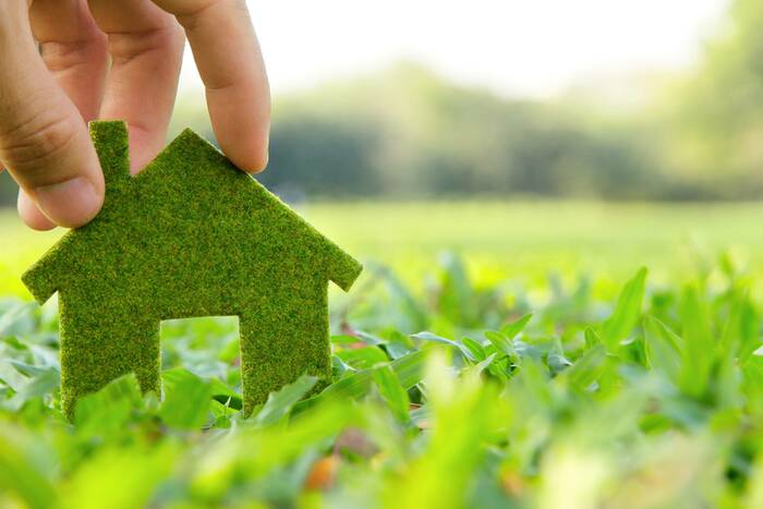 eco friendly house grass